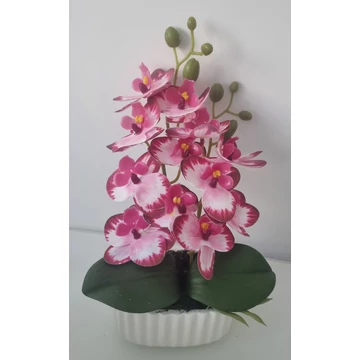 Kis rózsaszín orchidea 