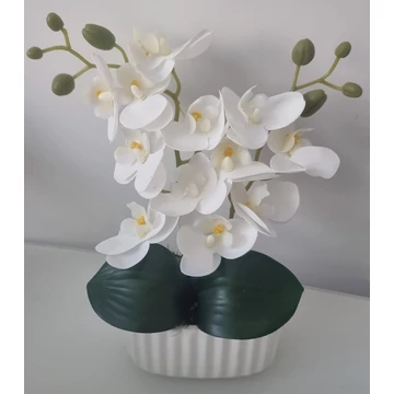 Kis fehér orchidea 