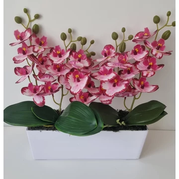 5 ágú rózsaszín orchidea 