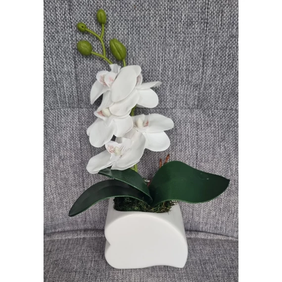 Kis fehér orchidea 