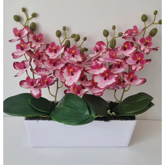 5 ágú rózsaszín orchidea 
