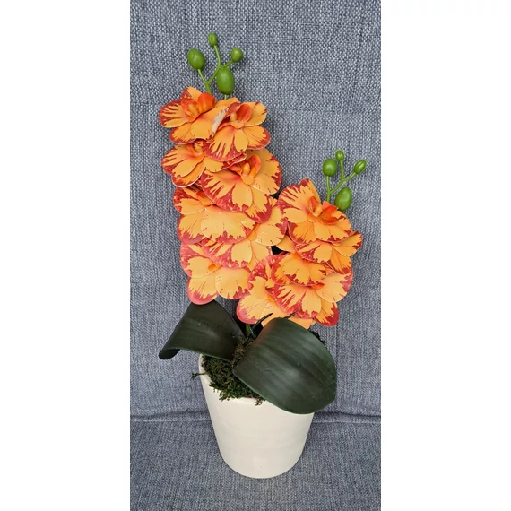 Narancssárgás orchidea