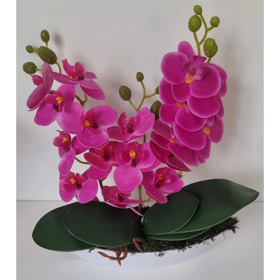 Kis csónakos orchidea dekoráció