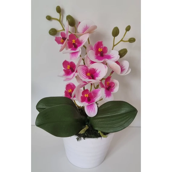 Rózsaszín orchidea