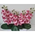 Kép 2/3 - 5 ágú rózsaszín orchidea 