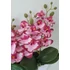 Kép 3/3 - 5 ágú rózsaszín orchidea 