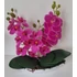 Kép 1/2 - Kis csónakos orchidea dekoráció