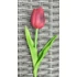 Kép 3/3 - Bordó gumi tulipán